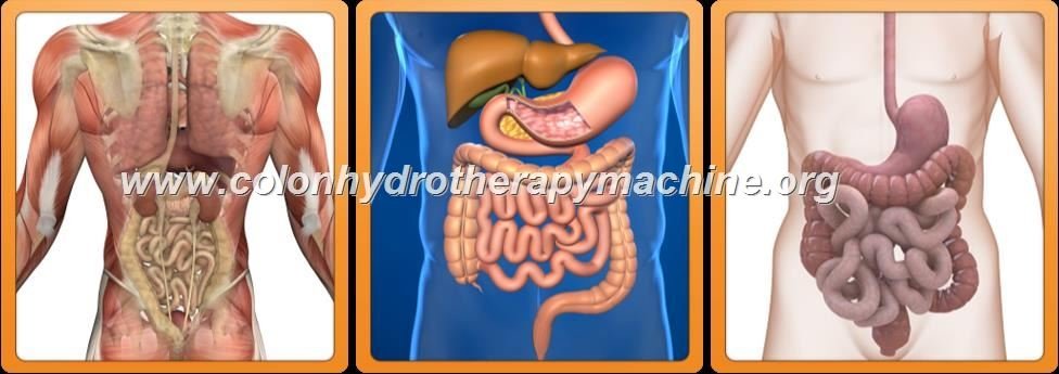 Yelp Clogged Colonic Machine